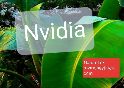 Nvidia Corp Company Info – (NVDA)